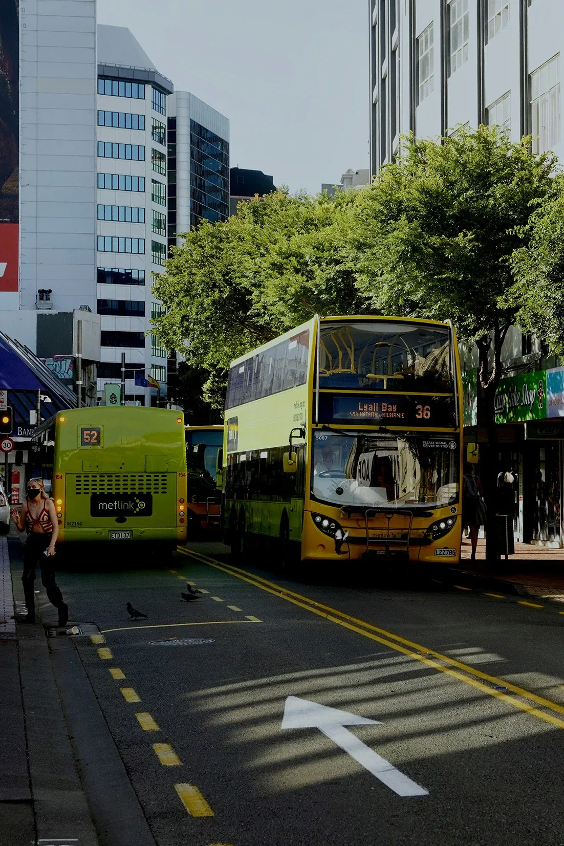 Buses in Wellington NZ